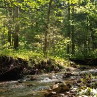 Large Recreational Tract With A Home In The Heart Of The Ozarks images 3