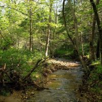 Large Recreational Tract With A Home In The Heart Of The Ozarks images 4
