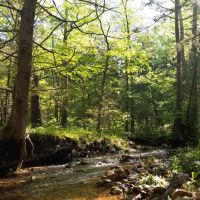 Large Recreational Tract With A Home In The Heart Of The Ozarks images 5