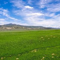 Willow Creek Ranch Colorado images 5