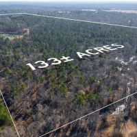 Diana Ranch - Texas Recreational Ranch for Sale in Upshur County images 2