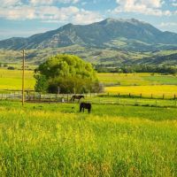 Silver Brand Ranch images 5