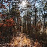 Zimmerman Road images 3