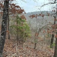 Ozark Tomato Cannery images 2