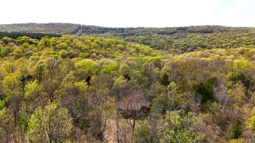 National Forest Cedar Cabin in Northern Crawford Co Arkansas featured image