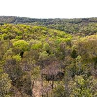 National Forest Cedar Cabin in Northern Crawford Co Arkansas