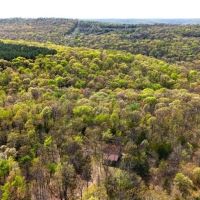 National Forest Cedar Cabin in Northern Crawford Co Arkansas images 3