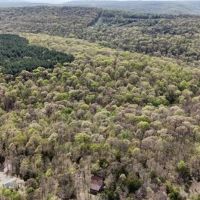 National Forest Cedar Cabin in Northern Crawford Co Arkansas images 4