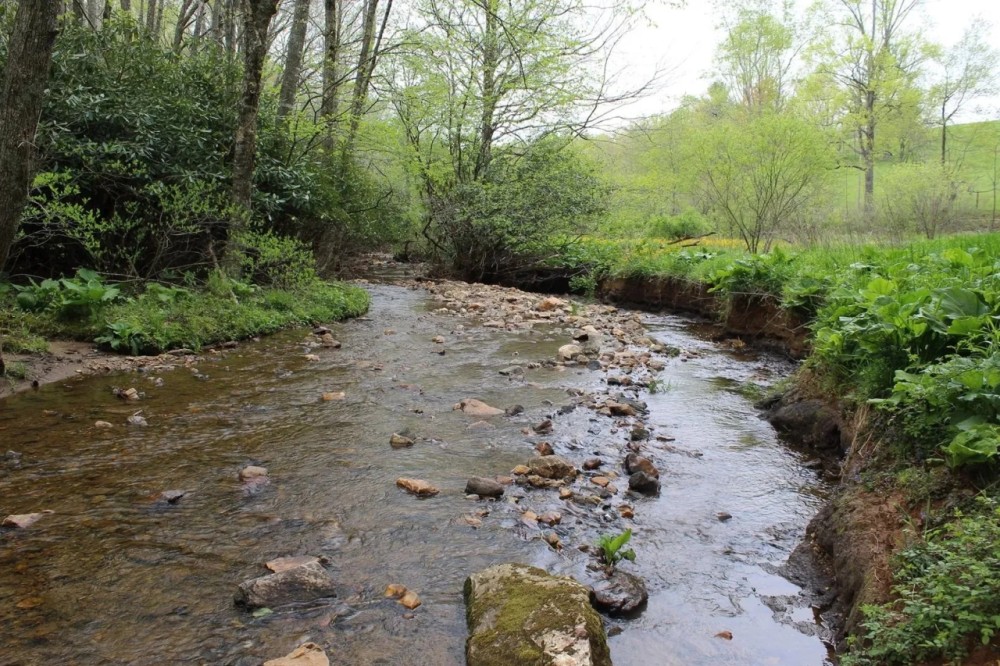 70 Acres in Carroll County Virginia featured image