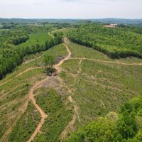 70 Acres in Carroll County Virginia images 3