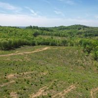 70 Acres in Carroll County Virginia images 4