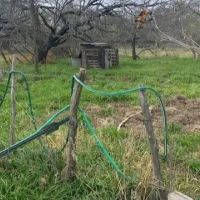 Price Reduction 155 -Acres Callahan County