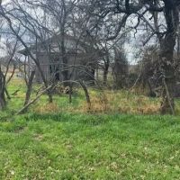 Price Reduction 155 -Acres Callahan County images 2