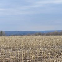 Hammond Hill Hideaway images 4