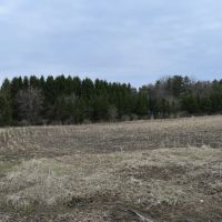 Hammond Hill Hideaway images 5