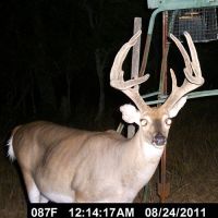Privately Owned 45,000 Acre+ Ranch with Trophy Whitetail, Hog, & Turkey Outfitting