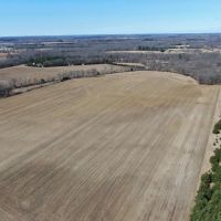 97.48 Acres of Tillable Land for Sale Columbia County WI images 4
