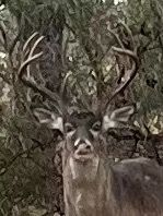 Fullsizerender medium