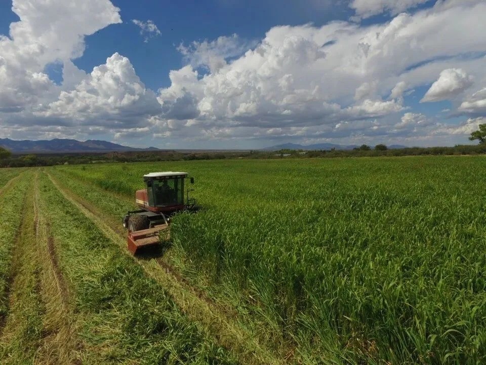 Arizona Farm Lot and Land Auction featured image
