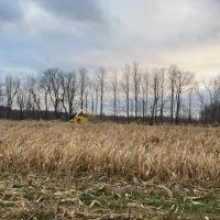 600 acres can pay to hunt all or break up some in Ilion and some in Richfield springs ny