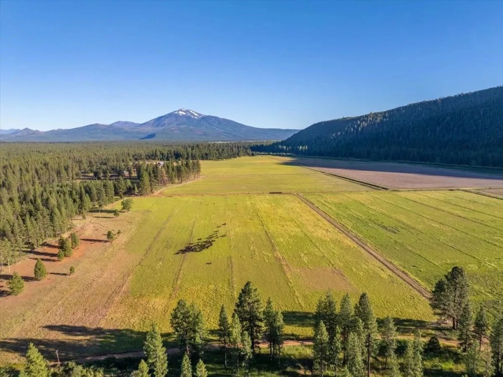 Black Ranch featured image