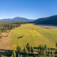Black Ranch