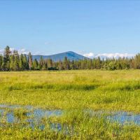 Black Ranch images 5