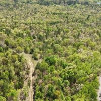 12.18 Acres in Polk County AR images 2