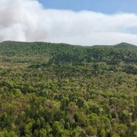 12.18 Acres in Polk County AR images 5