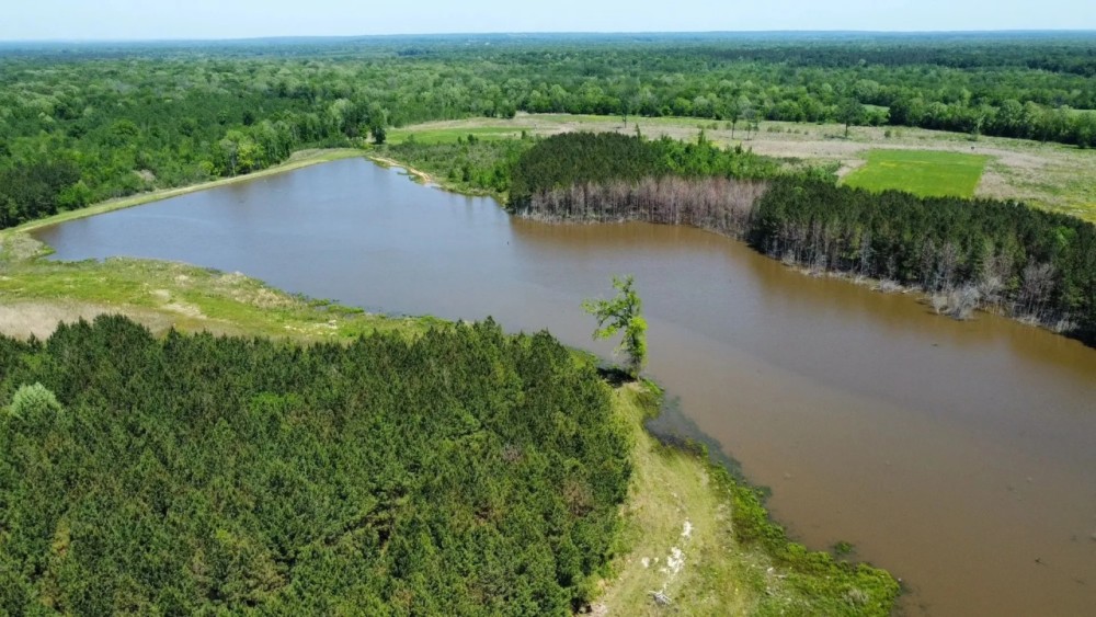 High Fence Property In Gordonsville Alabama featured image