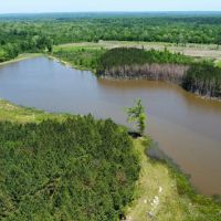 High Fence Property In Gordonsville Alabama