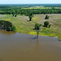 High Fence Property In Gordonsville Alabama images 3