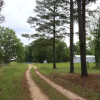 High Fence Property In Gordonsville Alabama images 5
