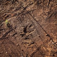 Cactus Flats Ranch images 3