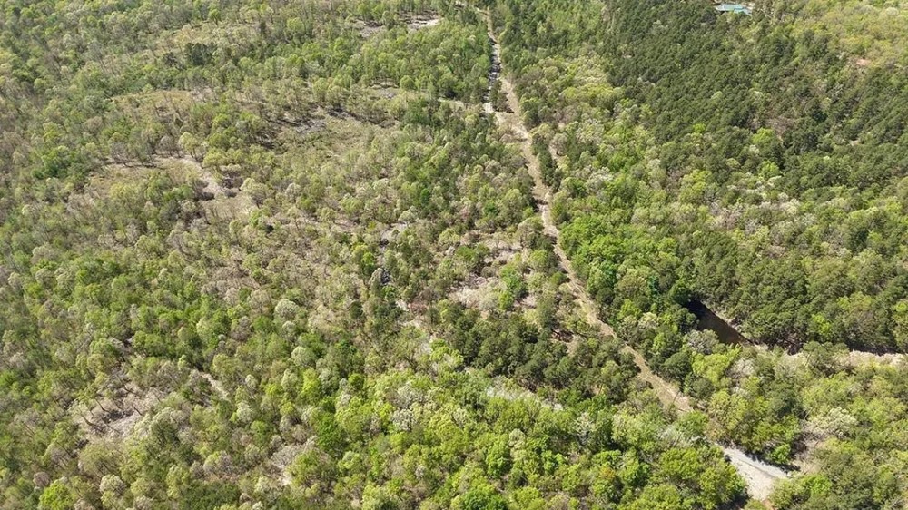 4 Acres in Polk County AR featured image