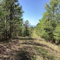 4 Acres in Polk County AR images 5