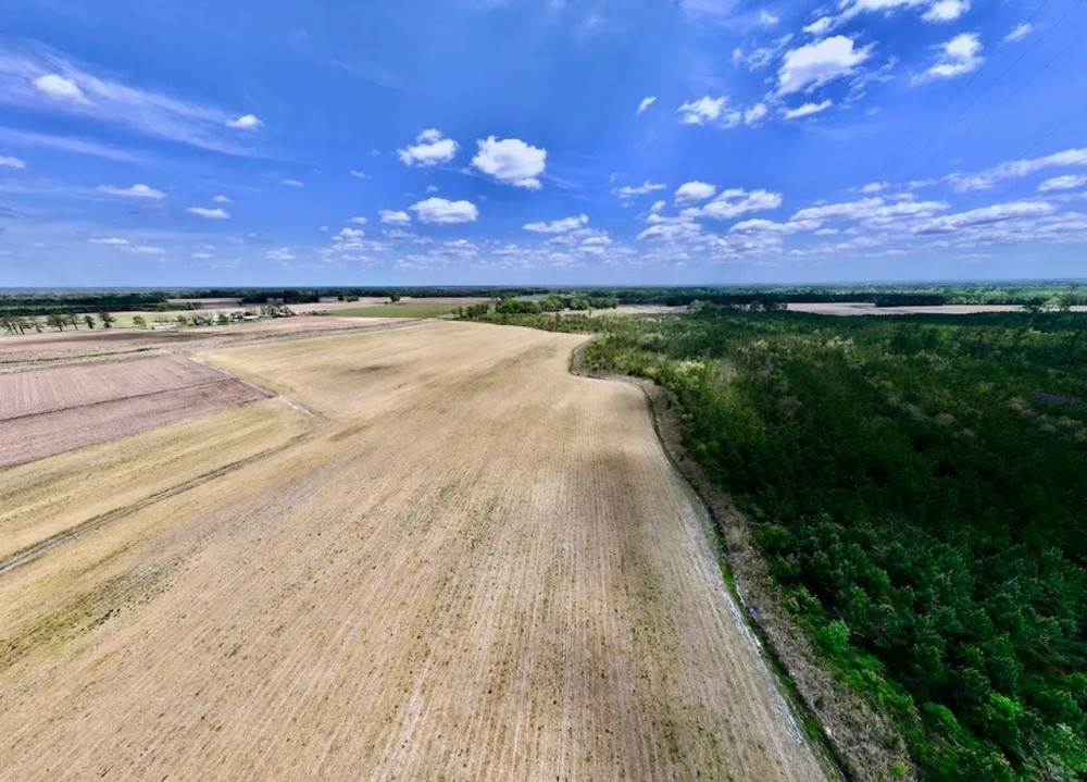 19.95 acres of Multi-Use Creek Front Land For Sale in Jones County NC featured image