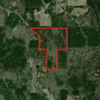 LA - Caldwell 80 acres - images 3