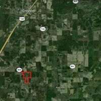 LA - Caldwell 80 acres - images 4