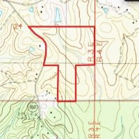 LA - Caldwell 80 acres - images 5