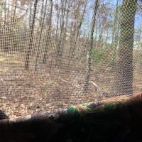 250 acres in Webster county with hardwood and pine mix with abundance of deer, hogs, and turkey.