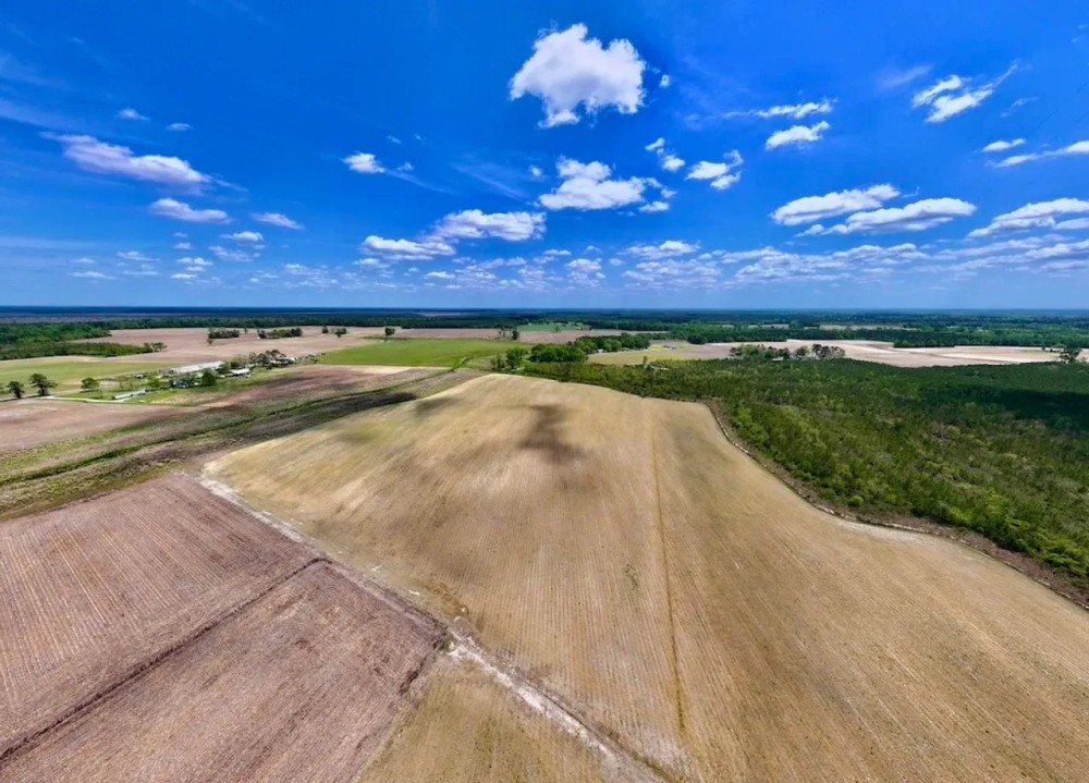 18.05 Acres of Multi-Use Land with Creek Frontage For Sale in Jones County NC featured image