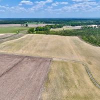 18.05 Acres of Multi-Use Land with Creek Frontage For Sale in Jones County NC images 5