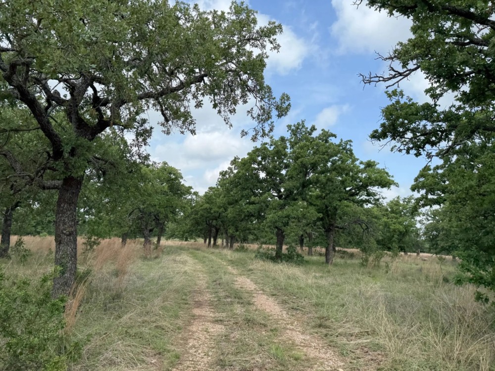 257 - Acres….Views Hunting Water wells Tanks Oaks featured image