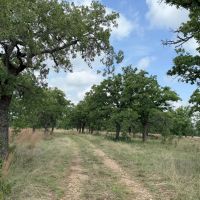 257 - Acres….Views Hunting Water wells Tanks Oaks