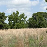 257 - Acres….Views Hunting Water wells Tanks Oaks images 2