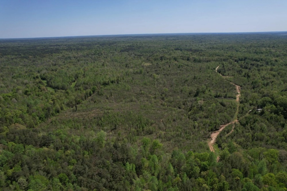 120 Acres Holmes County MS featured image