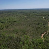 120 Acres Holmes County MS