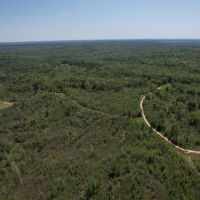 120 Acres Holmes County MS images 2