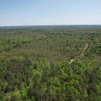 120 Acres Holmes County MS images 3